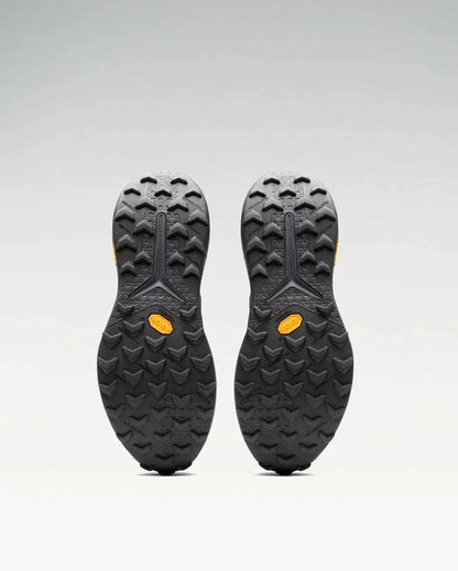 Fossil | Pine