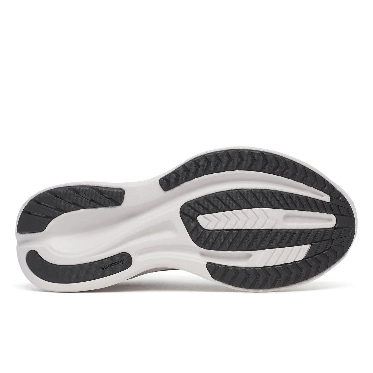 Carbon | Salmon