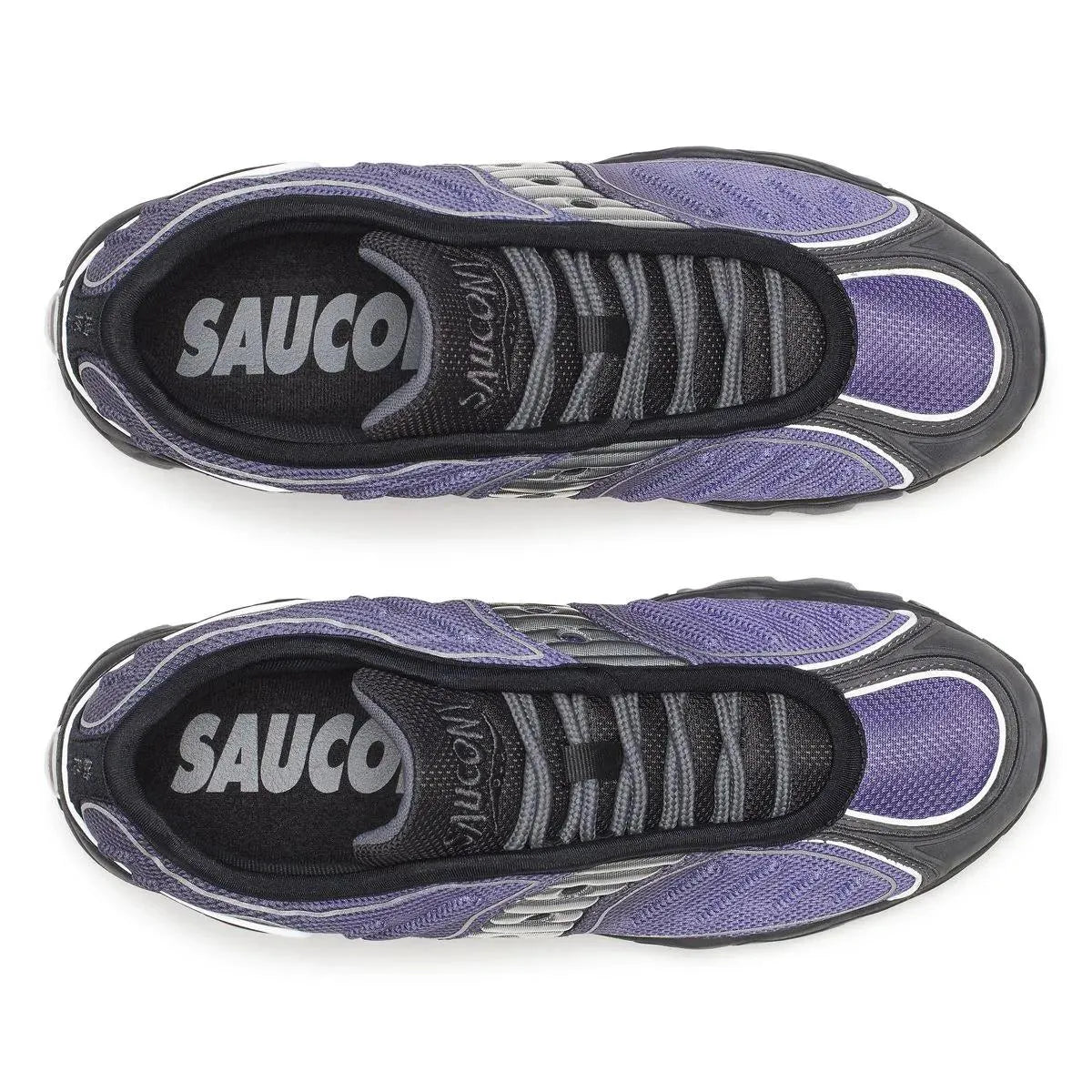 Purple Fade