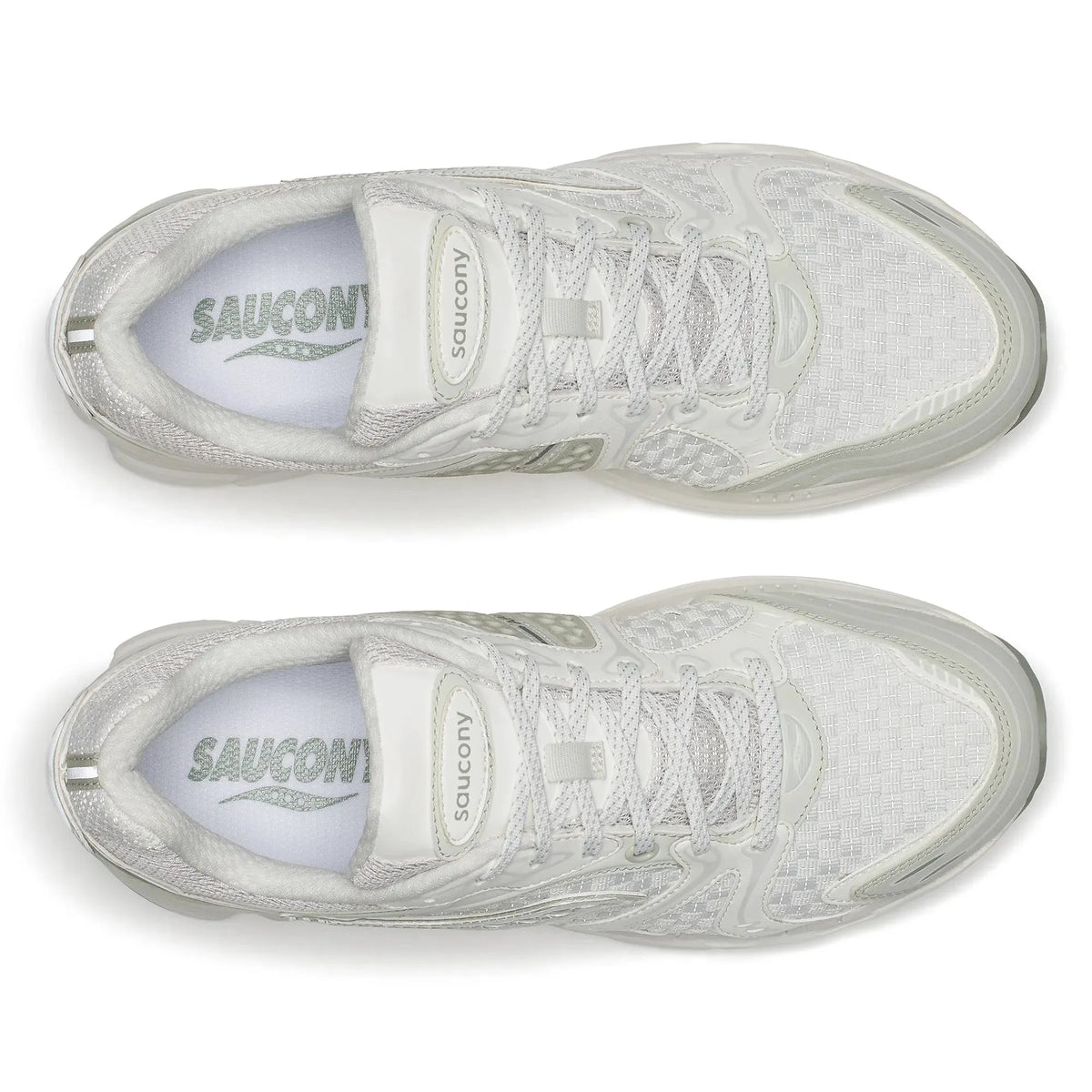Ivory | Celadon