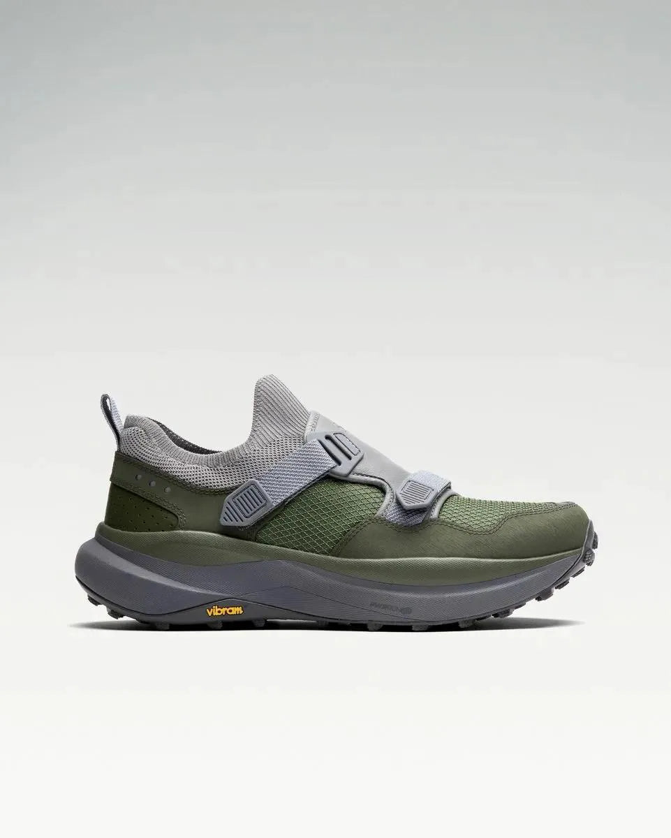 Fossil | Pine
