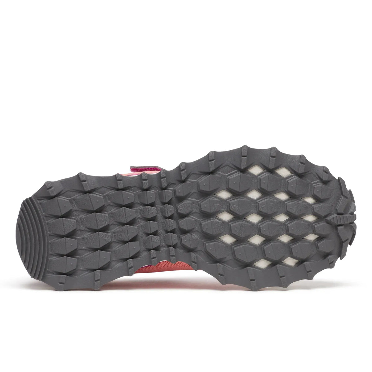 Berry/Coral